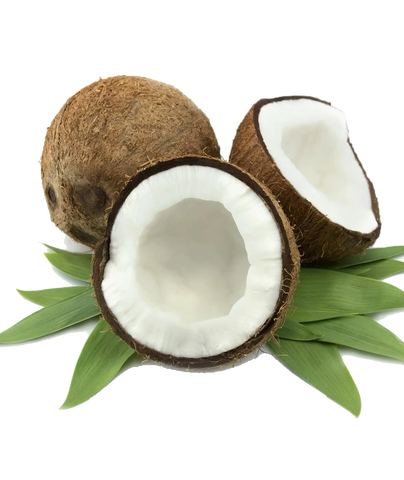 Image of PURE C8 MCT Oil (sourced from coconut only, made in Germany) - Healtholicious One-Stop Biohacking Health Shop