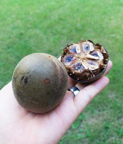 Image of KETO SWEET : Monkfruit Sweetener with Erythritol 250g - Healtholicious One-Stop Biohacking Health Shop