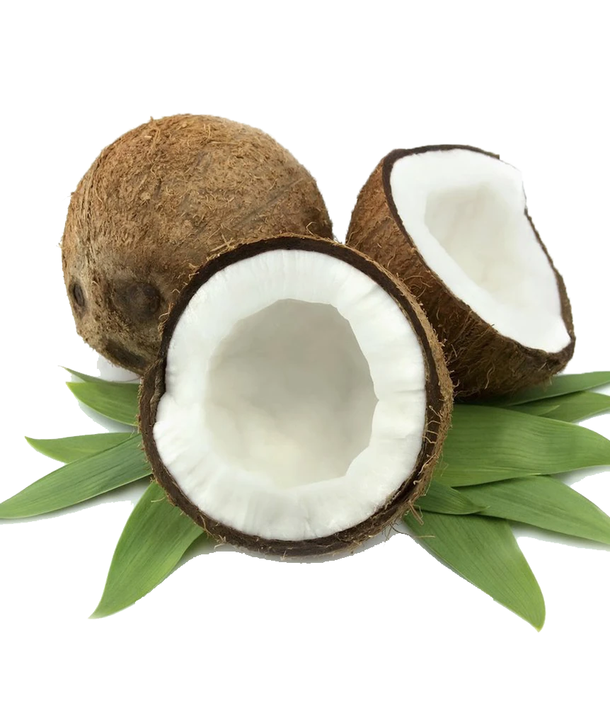 PURE C8 MCT Oil (sourced from coconut only, made in Germany) - Healtholicious One-Stop Biohacking Health Shop