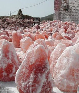 Dark Pink Himalayan Salt (Fine Grain) - Healtholicious One-Stop Biohacking Health Shop