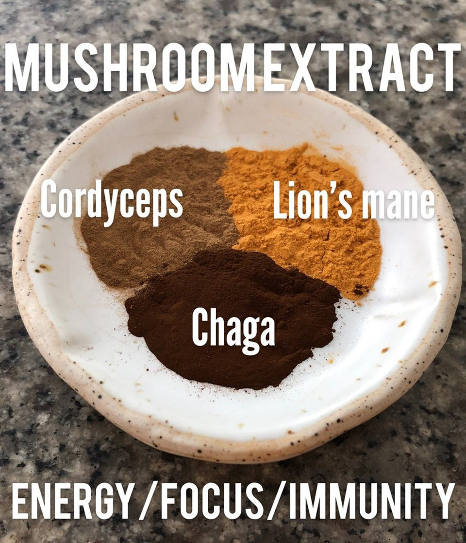 Mushroom Extract - Certified Organic : ENERGY / IMMUNE - Healtholicious One-Stop Biohacking Health Shop