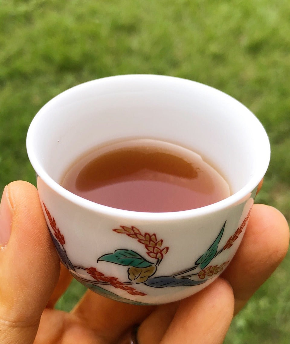 Shilajit Forte : Fulvic Acid / Trace Mineral Complex (2-month supply) - Healtholicious One-Stop Biohacking Health Shop