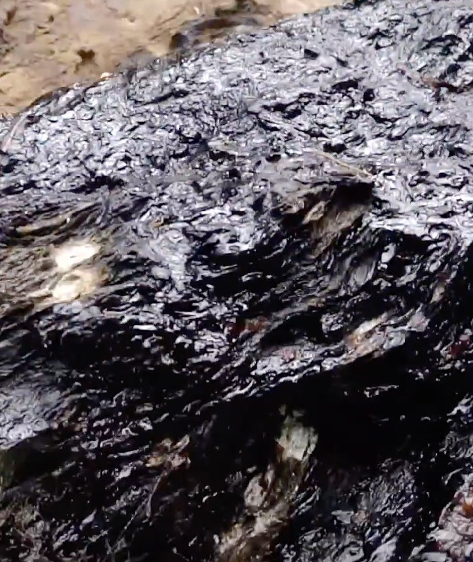 Shilajit Forte : Fulvic Acid / Trace Mineral Complex (2-month supply) - Healtholicious One-Stop Biohacking Health Shop