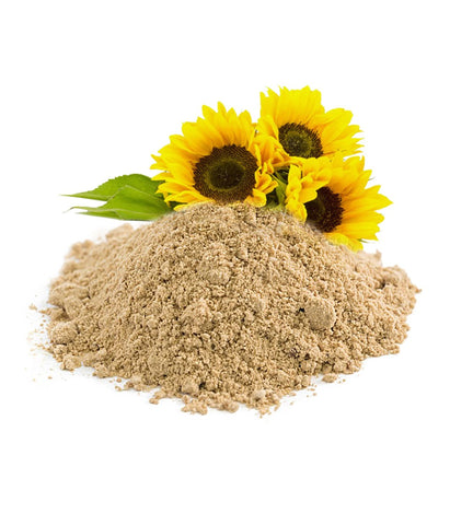 Image of Cold-pressed organic sunflower lecithin (food grade) - Healtholicious One-Stop Biohacking Health Shop